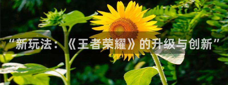 蓝冠娱乐咨询：“新玩法：《王者荣耀》的升级与创新”