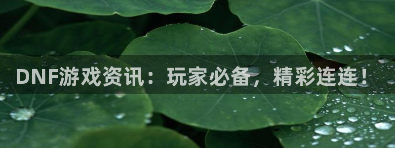 蓝冠娱乐官方登录网址：DNF游戏资讯：玩家必备，精彩连连！