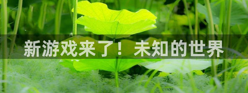 蓝冠娱乐注册测速