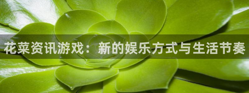 蓝冠娱乐怎么注册：花菜资讯游戏：新的娱乐方式与生活节奏