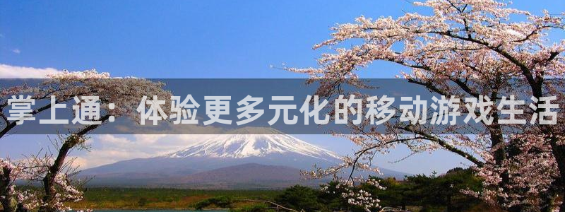 蓝冠娱乐登陆测速：掌上通：体验更多元化的移动游戏生活