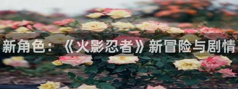 蓝冠娱乐官方平台：新角色：《火影忍者》新冒险与剧情