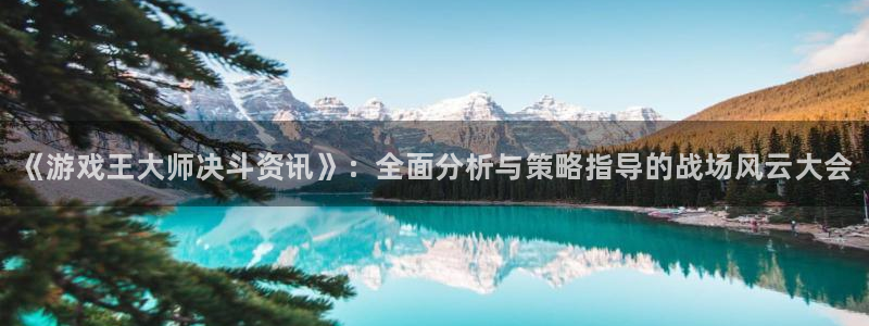 蓝冠娱乐平台注册资金多少：《游戏王大师决斗资讯》：全面分析与