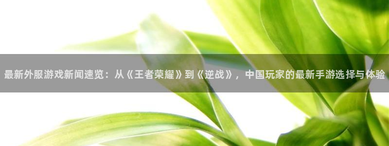 蓝冠娱乐4招商
