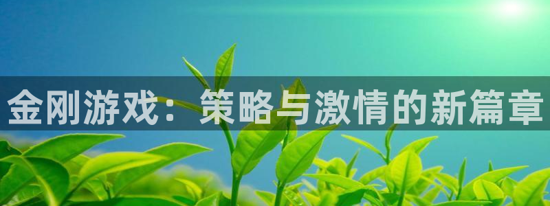 蓝冠娱乐登陆地址：金刚游戏：策略与激情的新篇章