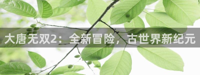 蓝冠娱乐2登录：大唐无双2：全新冒险，古世界新纪元