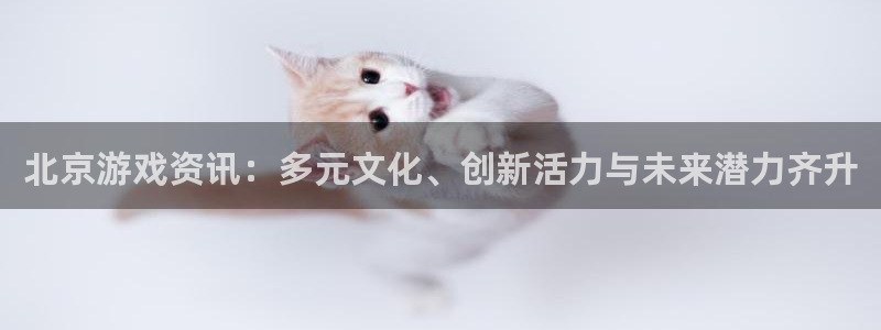 蓝冠娱乐手机网页版登录：北京游戏资讯：多元文化、创新活力与未