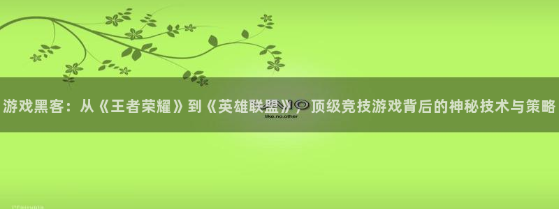 蓝冠娱乐网页登录入口：游戏黑客：从《王者荣耀》到《英雄联盟》