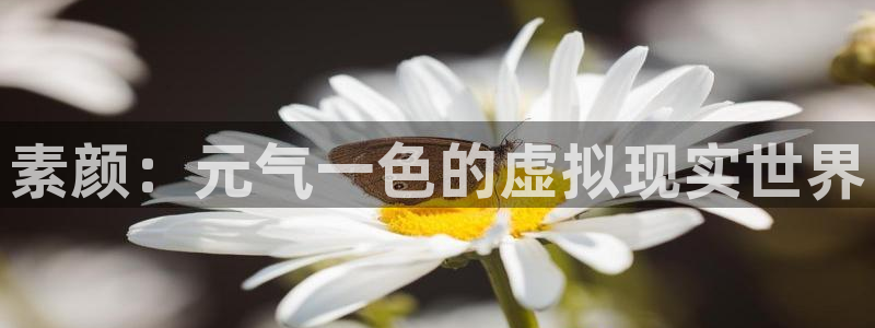 蓝冠娱乐注册服务条款：素颜：元气一色的虚拟现实世界